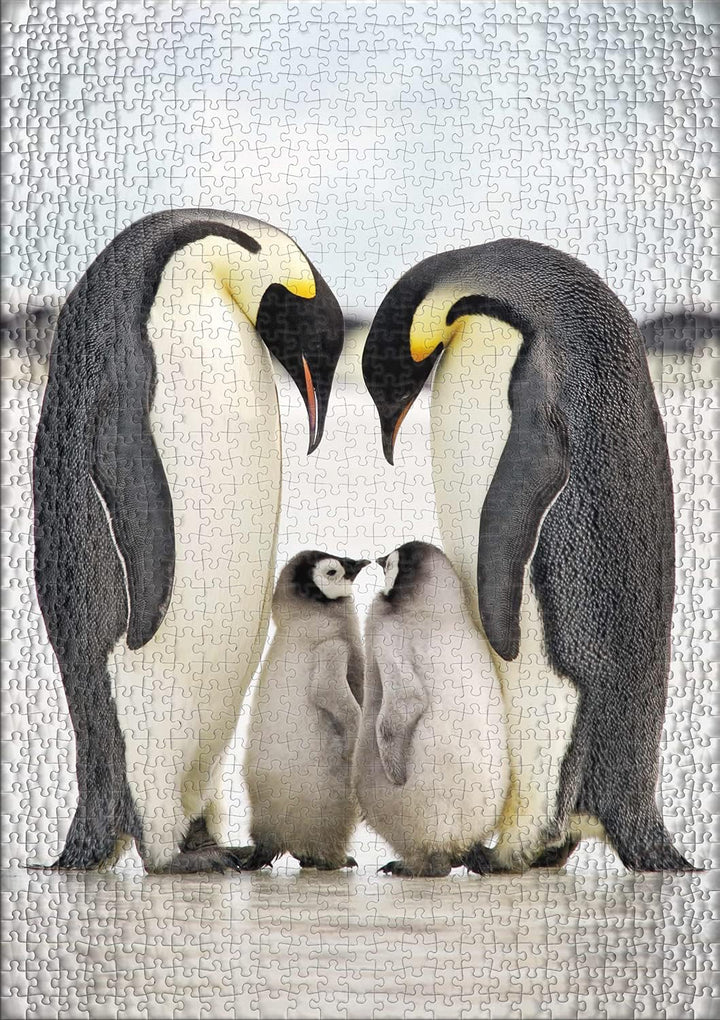 Ulmer Puzzleschmiede - Puzzle „Familienglück“ - Klassisches 1000 Teile Puzzle - Pinguine als origine