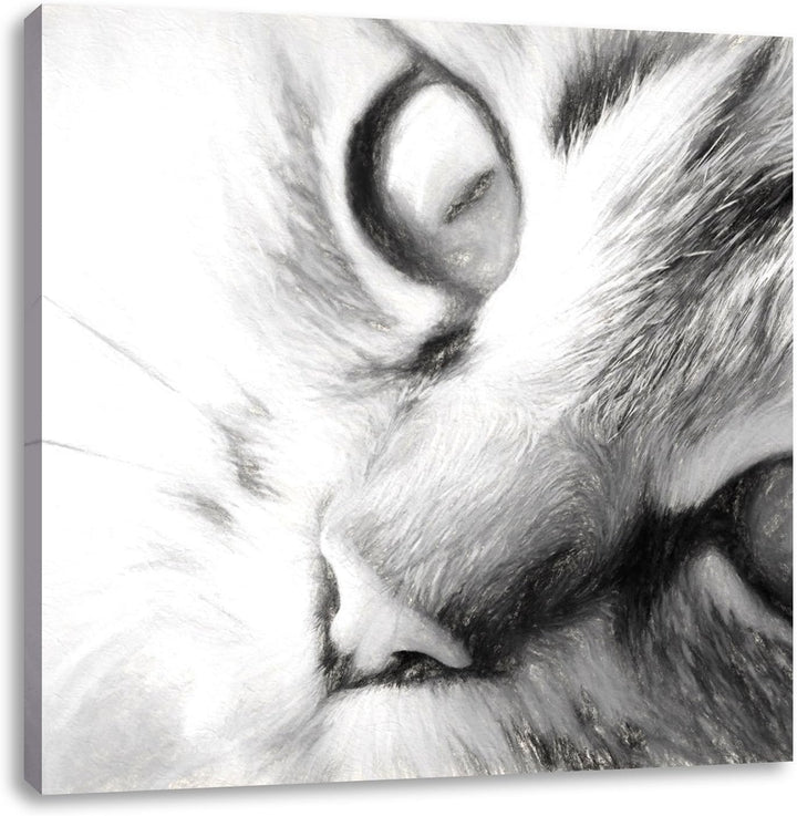 Pixxprint Graue Katze, Format: 70x70 auf Leinwand, XXL riesige Bilder fertig gerahmt mit Keilrahmen,