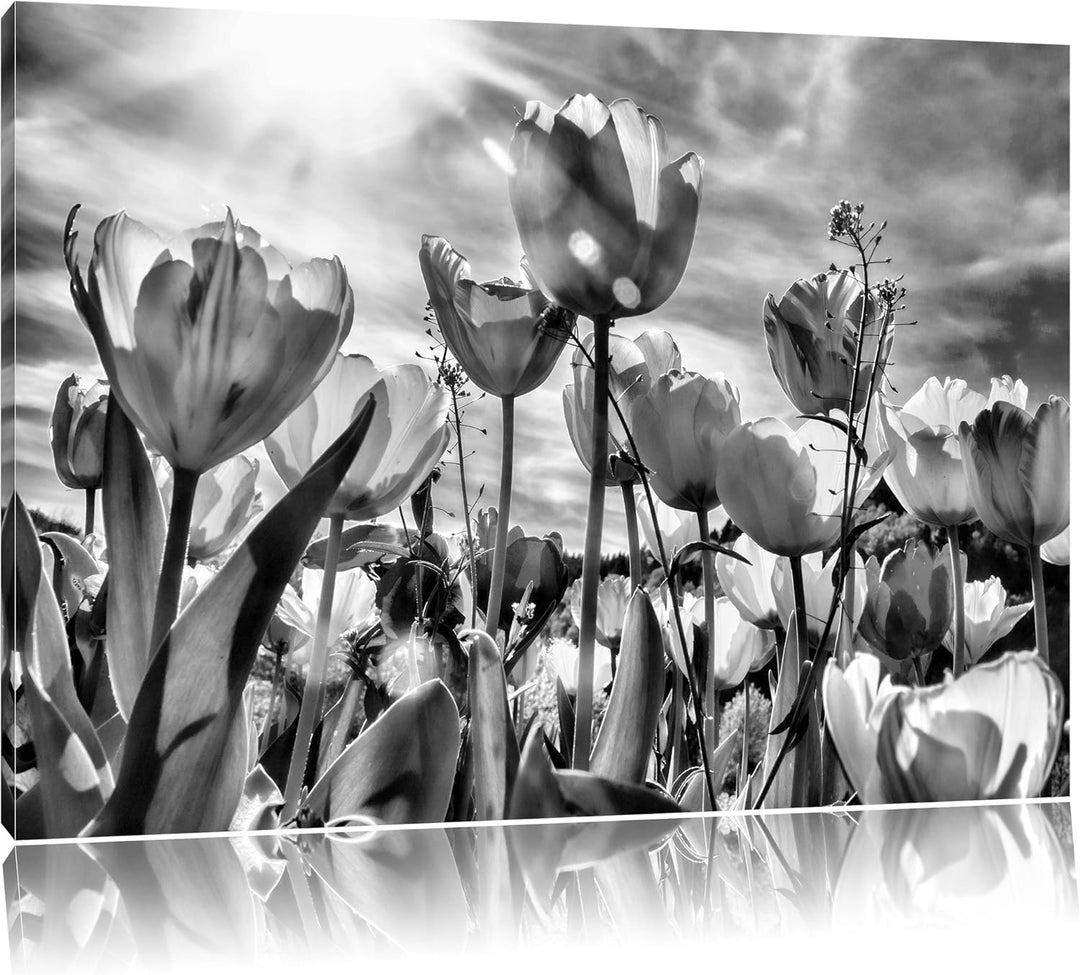 Pixxprint Blumenwiese / 100x70cm Leinwandbild bespannt auf Holzrahmen/Wandbild Kunstdruck Dekoration
