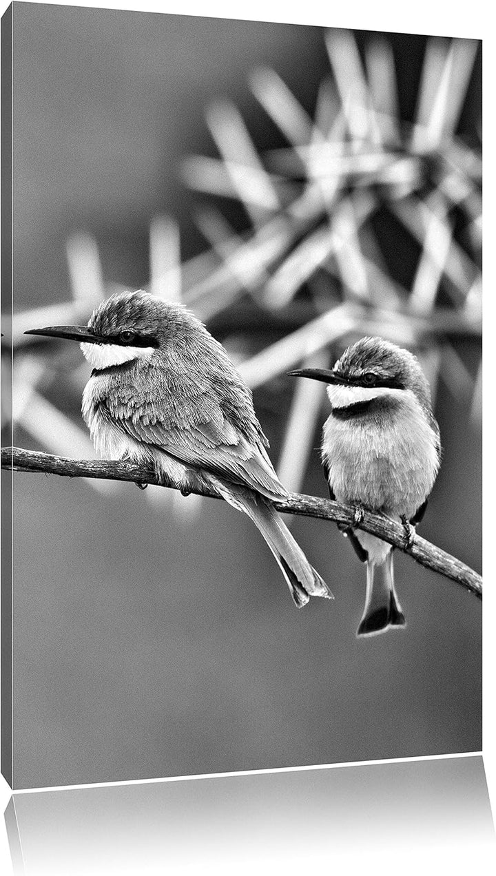Pixxprint Monocrome, farbenfrohe exotische Vögel auf AST, Format: 100x70 auf Leinwand, XXL riesige B