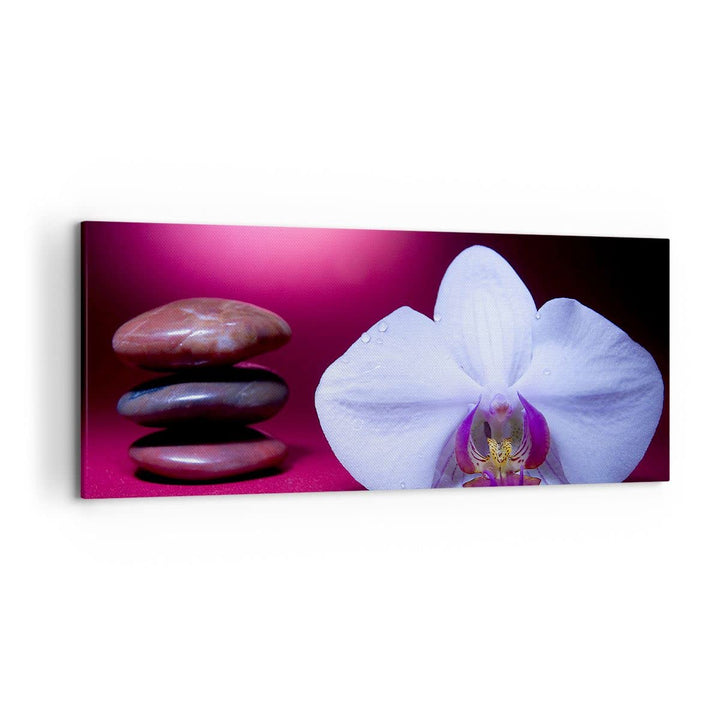 Wandbilder Dekoration Wohnzimmer Spa braune Steine weisse Orchidee Panorama Bilder auf Leinwand 120x
