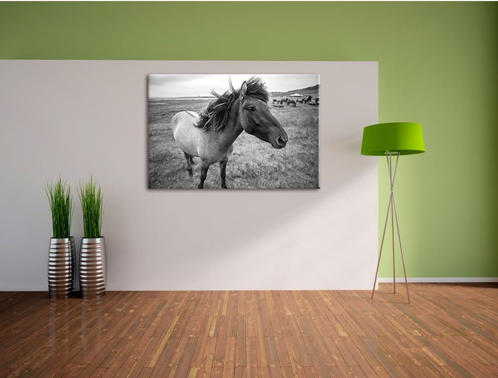 Isländer Pferde in der Wildnis / 100x70cm Leinwandbild bespannt auf Holzrahmen/Wandbild Kunstdruck D