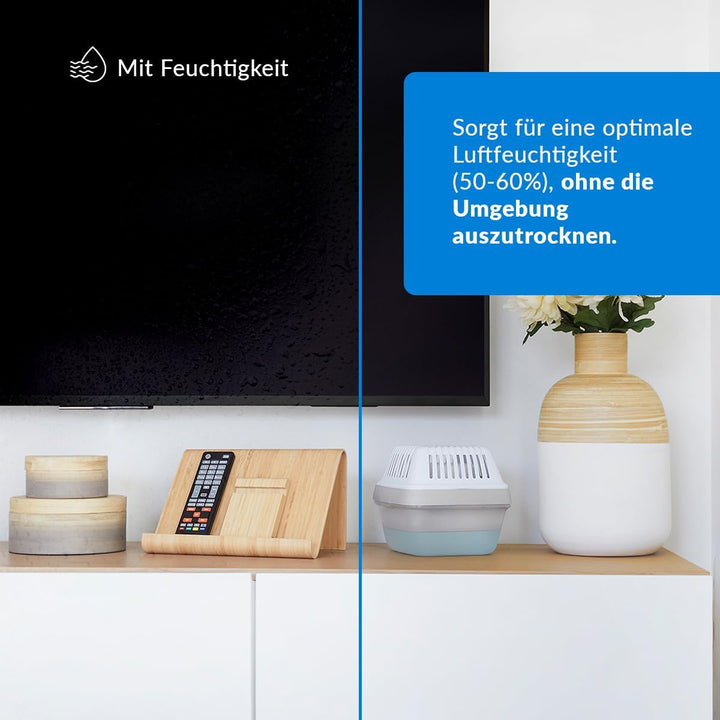 Sonder-Set mit 1 Nachfüllbeutel für Luftentfeuchter – Ideal für Schränke, Badezimmer und Räume – Räu