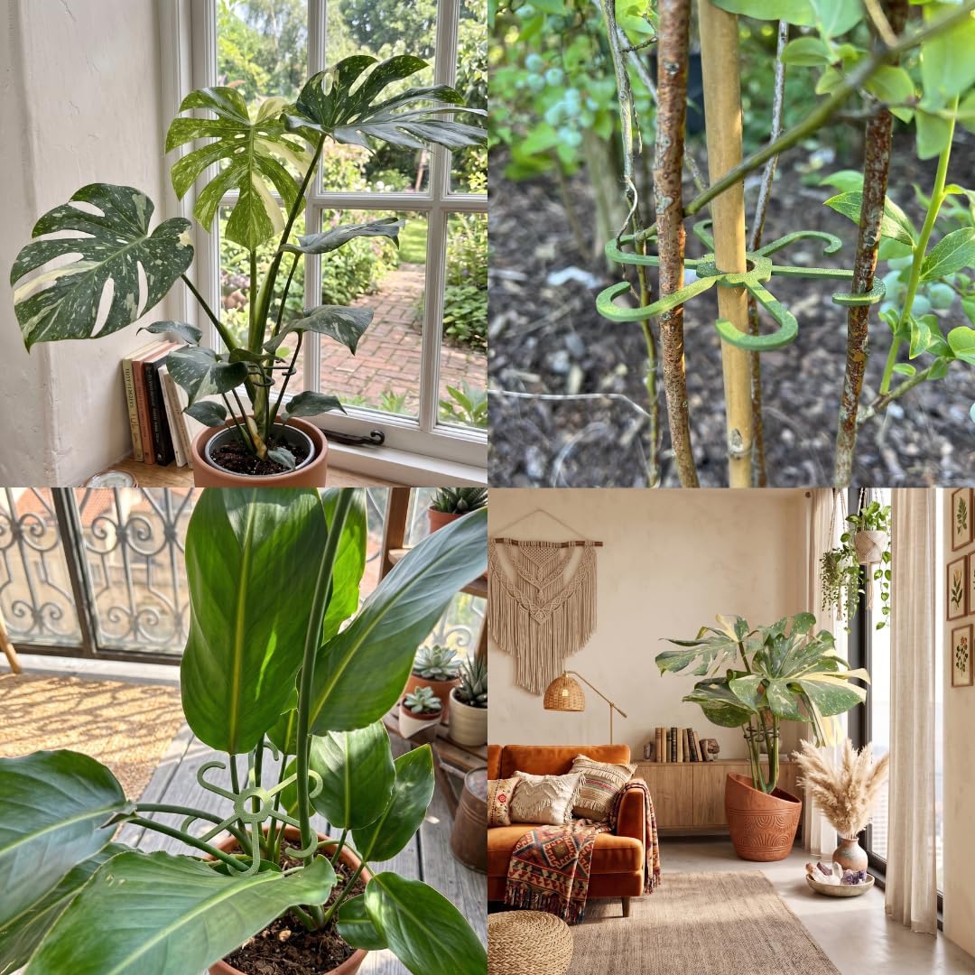 PLANTINITY - Pflanzenstütze Ring 15 cm Hero Light M - 5 Stück - Pflanzenhalter für Zimmerpflanzen -