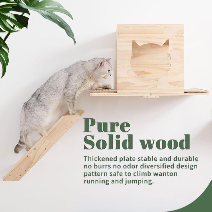 Set von Wandregalen für Katzen, mit Haus, Sisal-Kratzbaum, Kletterstufen, aus massivem Holz, für den