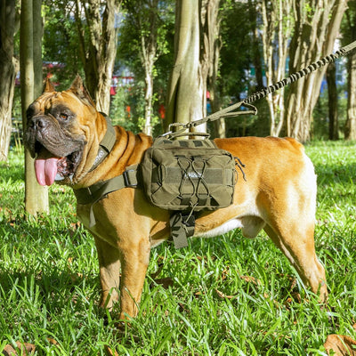 EXCELLENT ELITE SPANKER Service Jagd Hund Rucksack Rucksack Hundegeschirr Satteltasche Hunderucksack