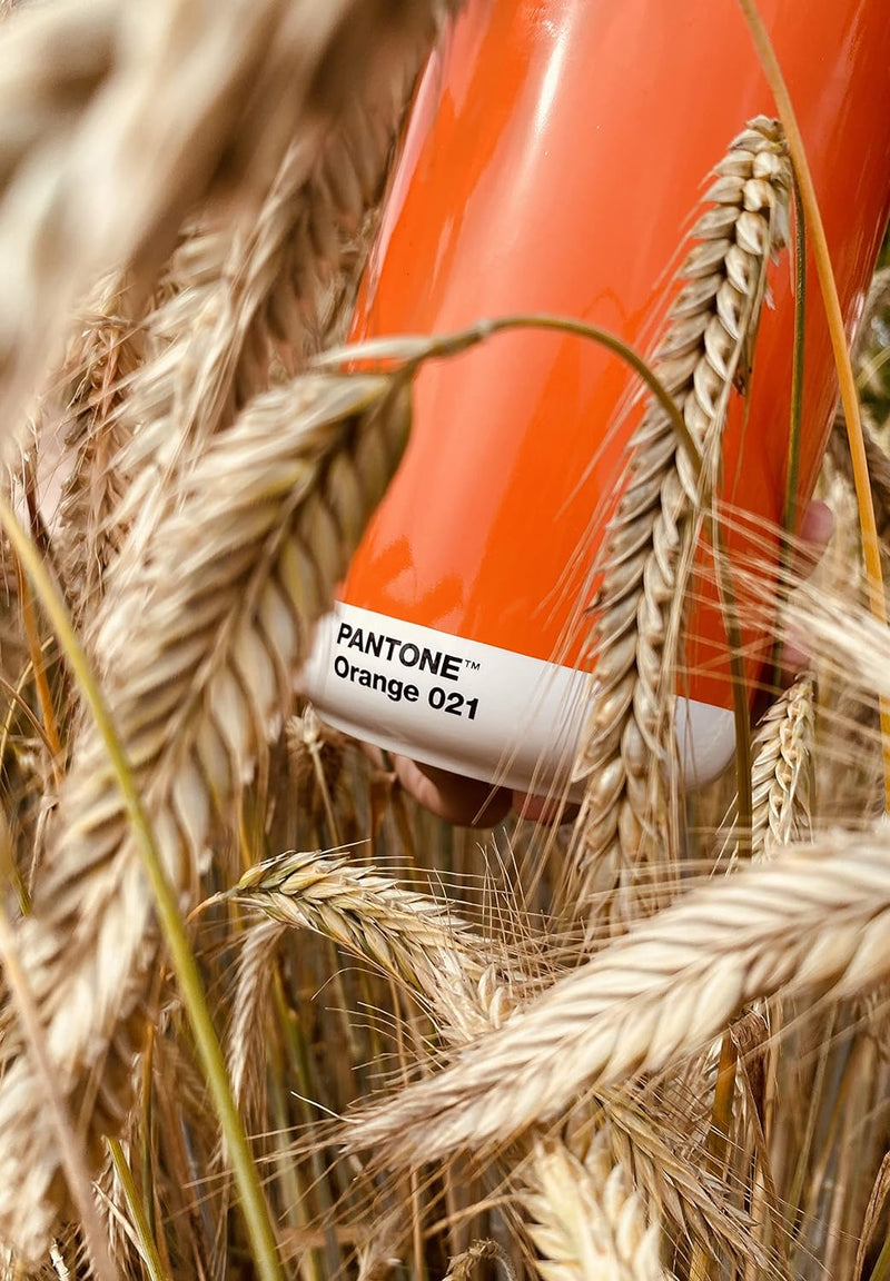 Pantone Porzellan Vase mit Geschenkbox, Jar, dekorative hochwertige Blumenvase, 1 Liter, Orange 021