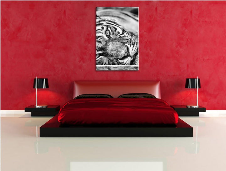 Monocrome, ruhender Tiger, Format: 100x70 auf Leinwand, XXL riesige Bilder fertig gerahmt mit Keilra