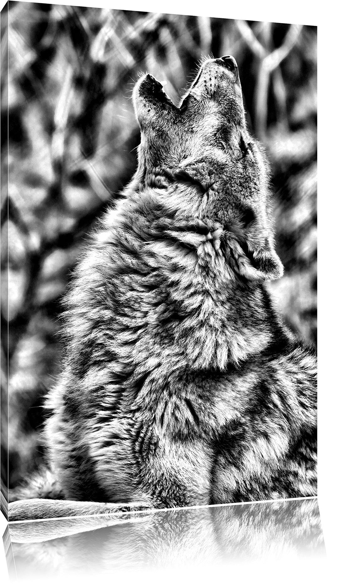 Monocrome, Heulende Wölfe, Format: 100x70 auf Leinwand, XXL riesige Bilder fertig gerahmt mit Keilra