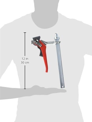 Bessey Spannelement mit fixer Ausladung TW16 200/100 (Hebel) Size Farbe, Size Farbe