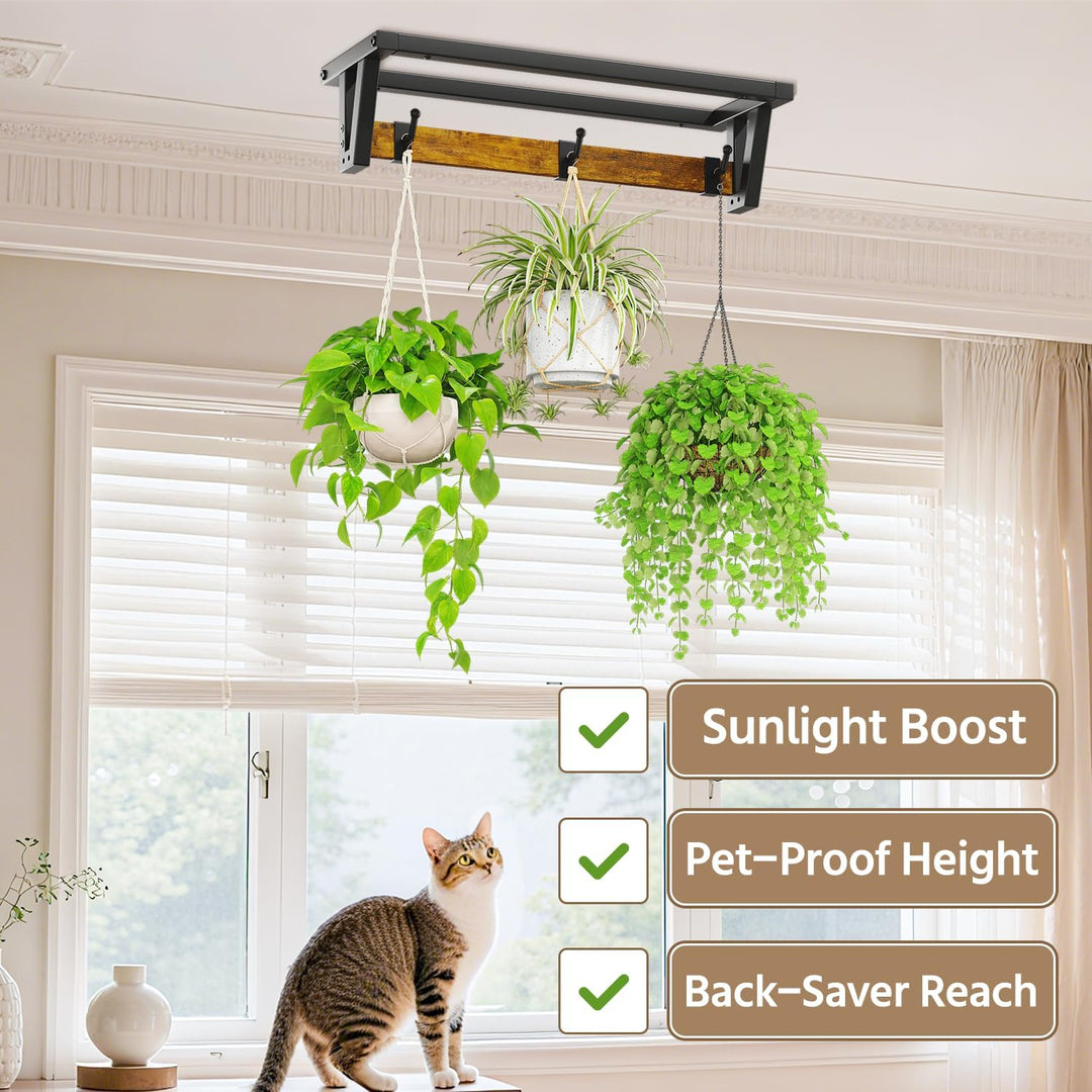 LASZOLA Pack of 2 Plant Stands, Plant Holder Wall with 6 Hanging Hooks, Plant Shelf, Plant Wall Moun