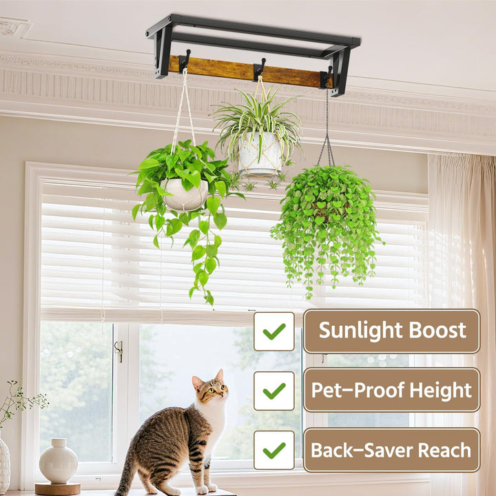 LASZOLA Pack of 2 Plant Stands, Plant Holder Wall with 6 Hanging Hooks, Plant Shelf, Plant Wall Moun