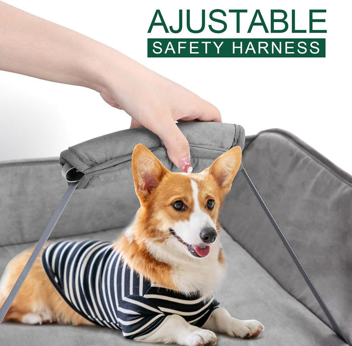 2-in-1-Hundebadewanne, Hundewaschstation, faltbare Haustier-Badewanne zum Baden und Pflegen, zusamme