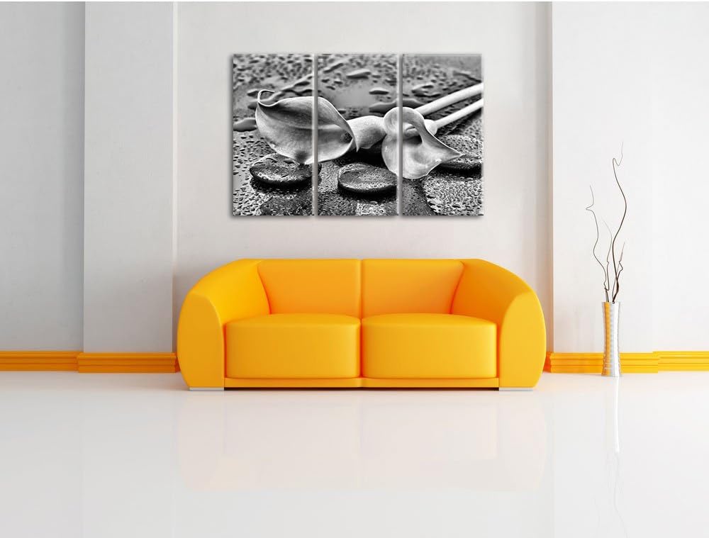 Pixxprint Callas im Regen / 3-Teilig/Gesamtmass 120cm Leinwandbild bespannt auf Holzrahmen/Wandbild