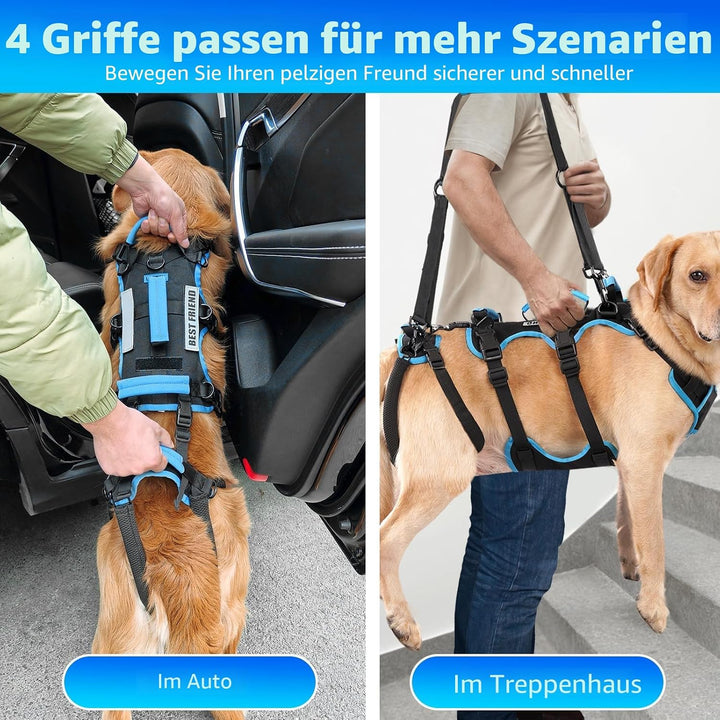 Hundeliftharnisch für grosse Rüden – 2-in-1 abnehmbares Hundetragegeschirr mit Hebegriffen für die H