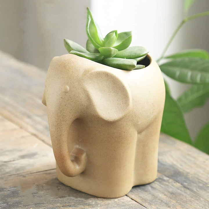 BESPORTBLE 3 Stücke Sukkulenten Blumentopf Elefant Figur Mini Keramik Übertopf Kaktus Topf Dekofigur