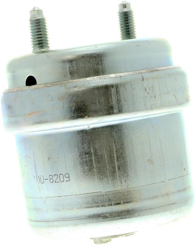 VAICO V10-8209 Lagerung, Motor