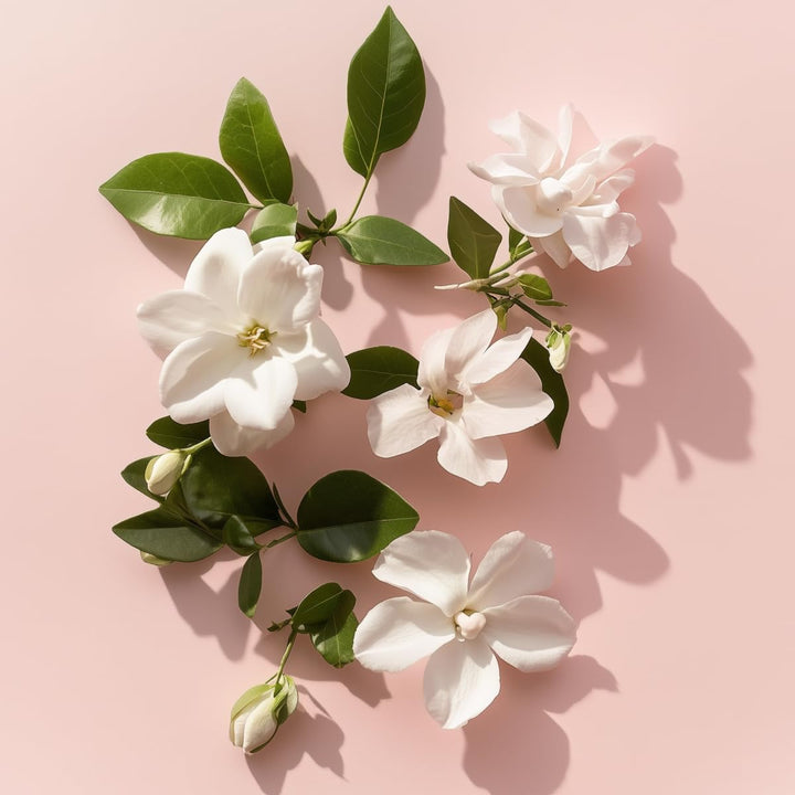 Elie Saab Le Parfum Essentiel EdP, Linie: Le Parfum Essentiel, Eau de Parfum für Damen, Inhalt: 50ml