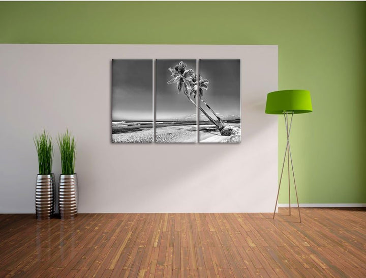 Pixxprint Monocrome, Palmen am Strand 3-Teiler Leinwandbild 120x80 Bild auf Leinwand