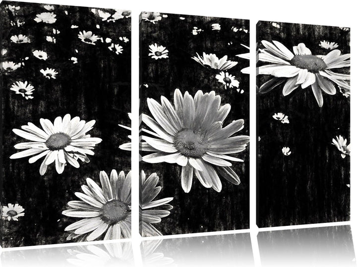 viele kleine Margariten schwarz/weiss Deluxe 3-Teiler Leinwandbild 120x80 Bild auf Leinwand, XXL rie