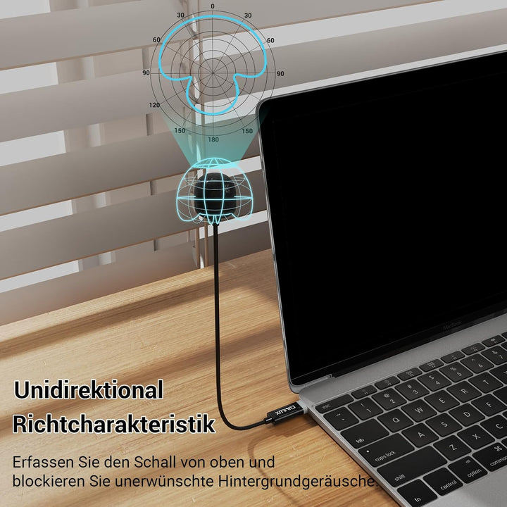 Cubilux USB-C-Schwanenhalsmikrofon, Typ-C-Boom-Mikrofon, kompatibel mit MacBook Pro/Air, iPad Pro 13