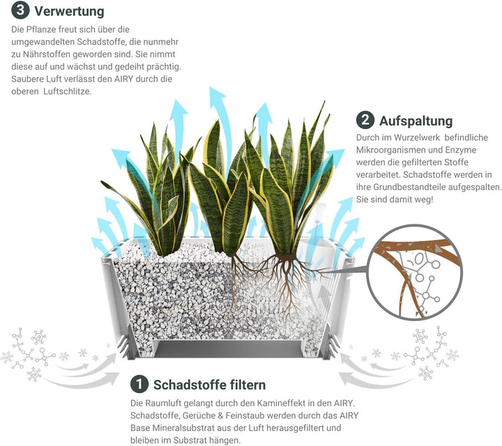 AIRY System L inkl. 3 Bogenhanfe &amp; Airy Base Substrat • Natürlicher Luftreiniger eliminiert Schadsto