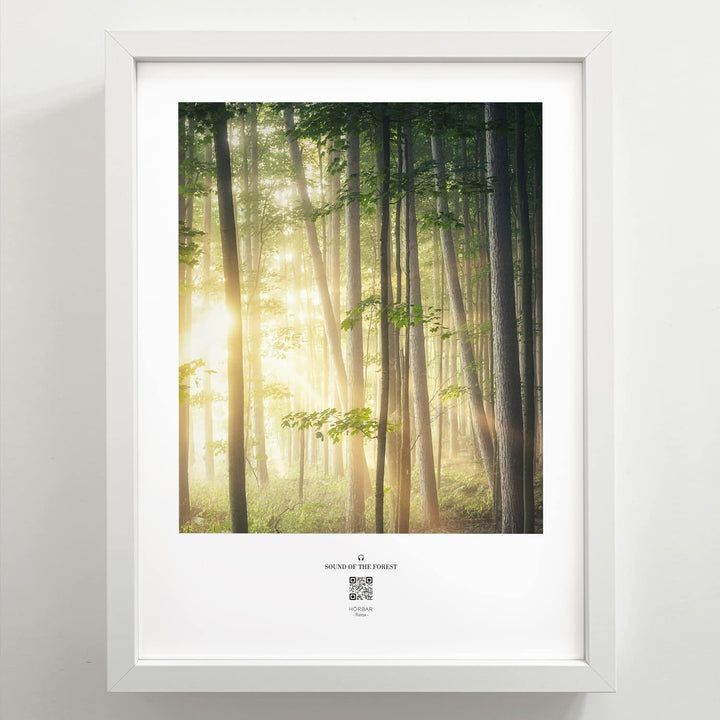 VALINA HÖRBAR RELAX | Hörbild | SOUND OF THE FOREST | Magic mood | Im Rahmen Weisser Rahmen 32,5cm 4