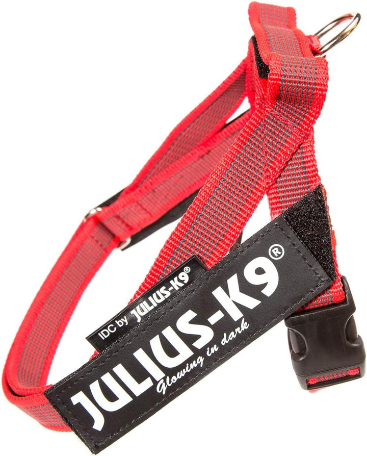 Julius-K9, Color & Gray, Beltgeschirr XS / Mini-Mini rot-grau, XS / Mini-Mini rot-grau