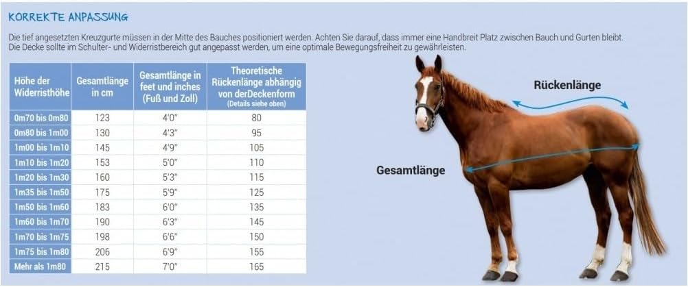 Riding World - Ekzemerdecke Zebra | Fliegendecke mit abschwitzender Wirkung | Pferdedecke mit Bauchl