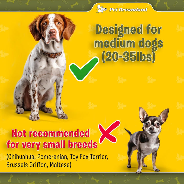 Pet Dreamland Dog Coupler 360 Leash Splitter for Small, Medium Dogs, No Tangle, Shock Absorbing Refl
