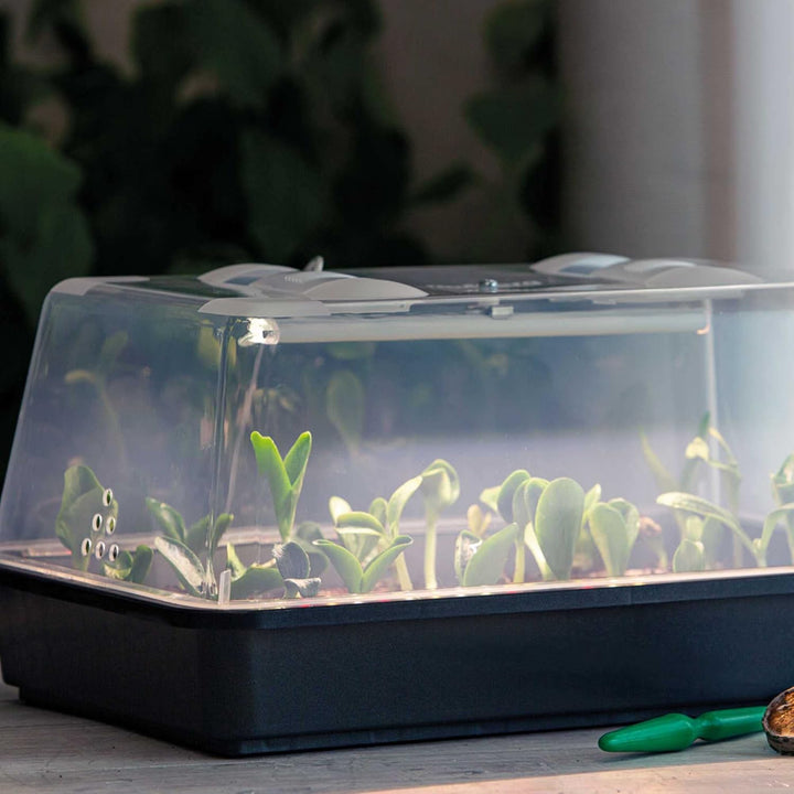 Romberg Lumio M LED | sehr stabiles Gewächshaus mit Belüftung und LED Pflanzenbeleuchtung | 38 x 24