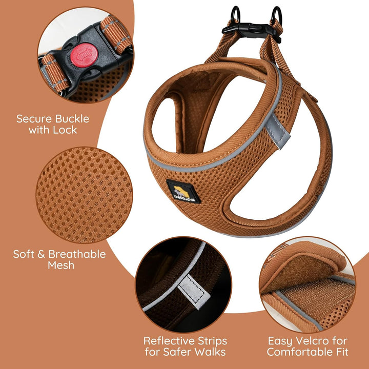 BELLA & PAL Hundegeschirr Kleine Hunde mit Leine, Step-in Geschirr aus Air Mesh, Anti Zug Reflektier