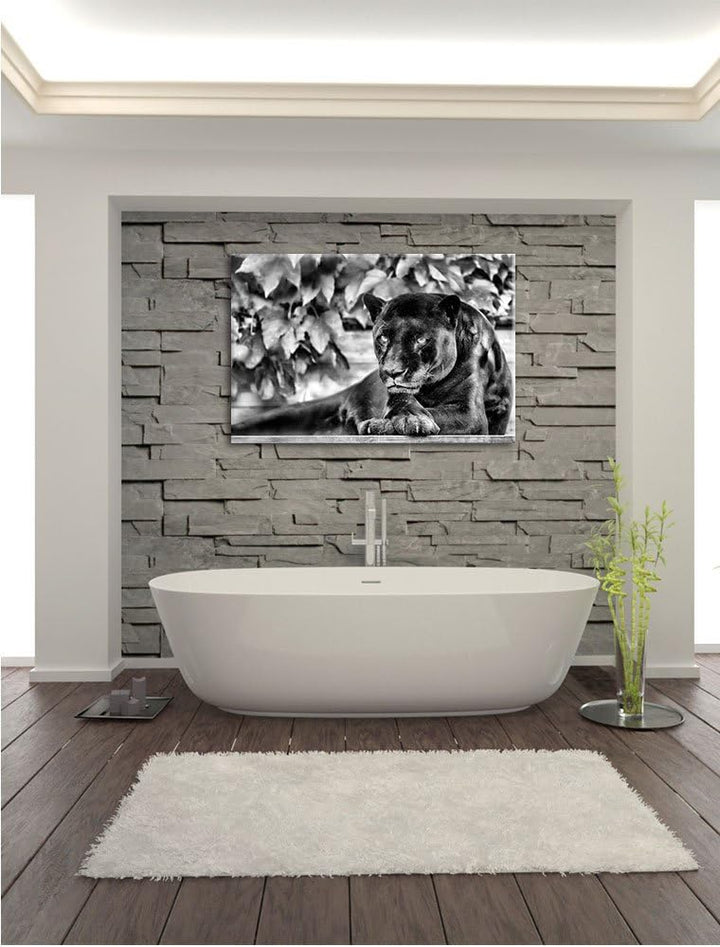 Pixxprint schöner schwarzer Panther als Leinwandbild/Grösse: 100x70 cm/Wandbild/Kunstdruck/fertig be