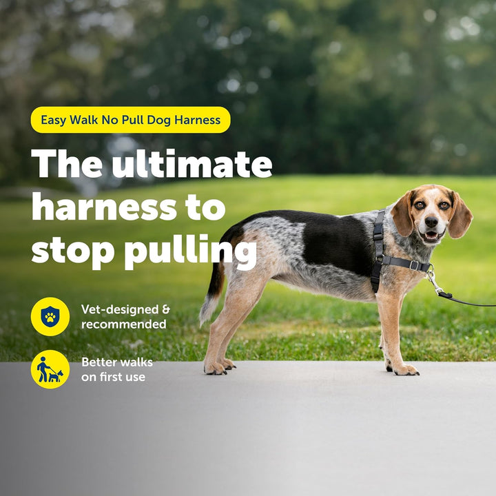 PetSafe Easy Walk Hundegeschirr, kein Ziehen, das ultimative Geschirr, um das Ziehen zu stoppen, übe