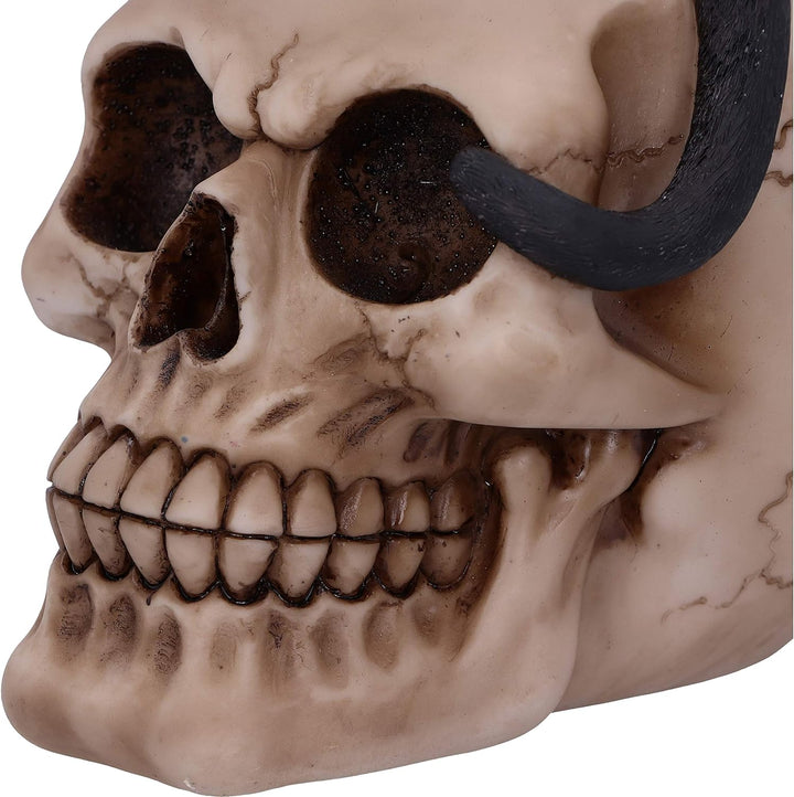 Nemesis Now Familiar Fate Dekofigur Hexen, Katze und Totenkopf, 24,3 cm