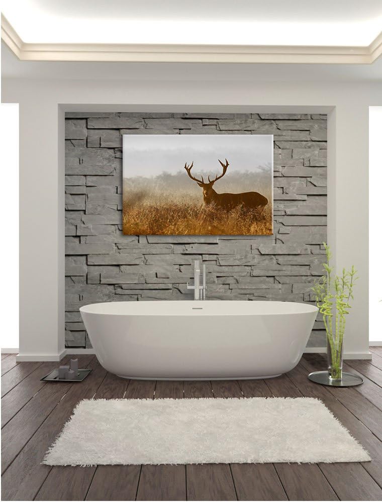 Pixxprint Rotwild Hirsch in Abenddämmerung als Leinwandbild/Grösse: 100x70 cm/Wandbild/Kunstdruck/fe