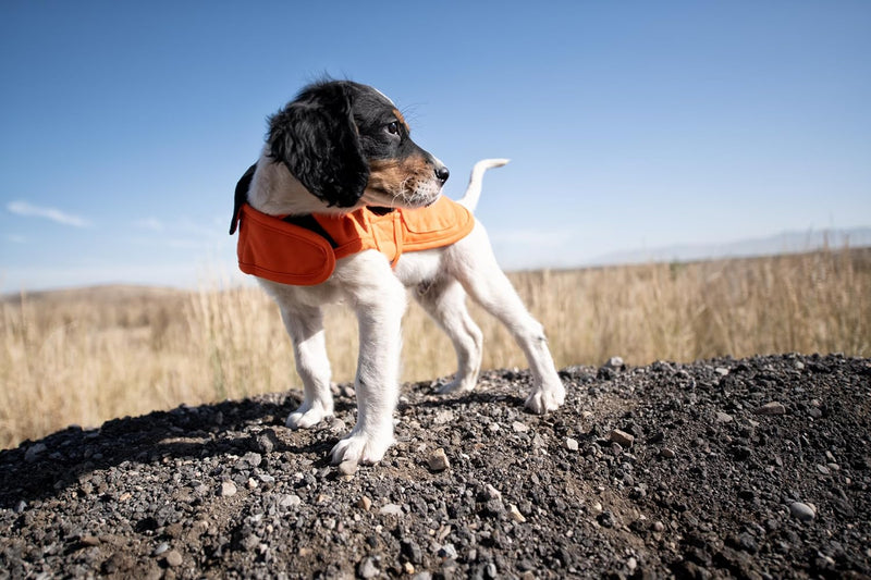 Carhartt Hausarbeitsmantel X-Large Hunter Orange/Messing, X-Large Hunter Orange/Messing