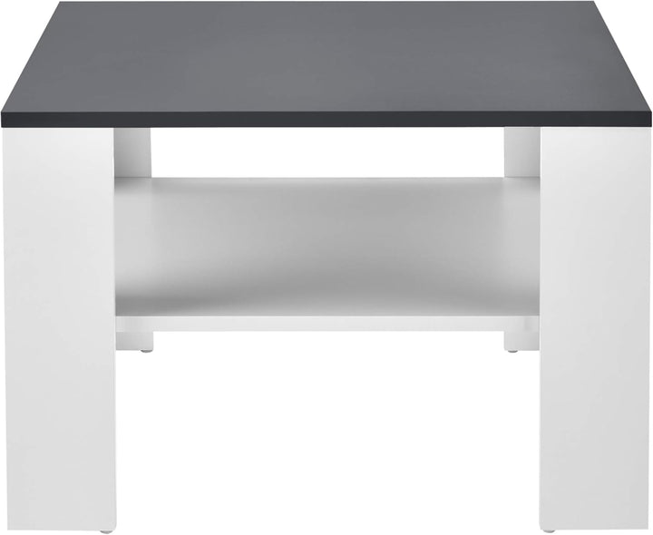 [en.casa] Couchtisch Aachen Beistelltisch 60x60x40 cm Wohnzimmertisch mit Ablage Sofatisch Kaffeetis