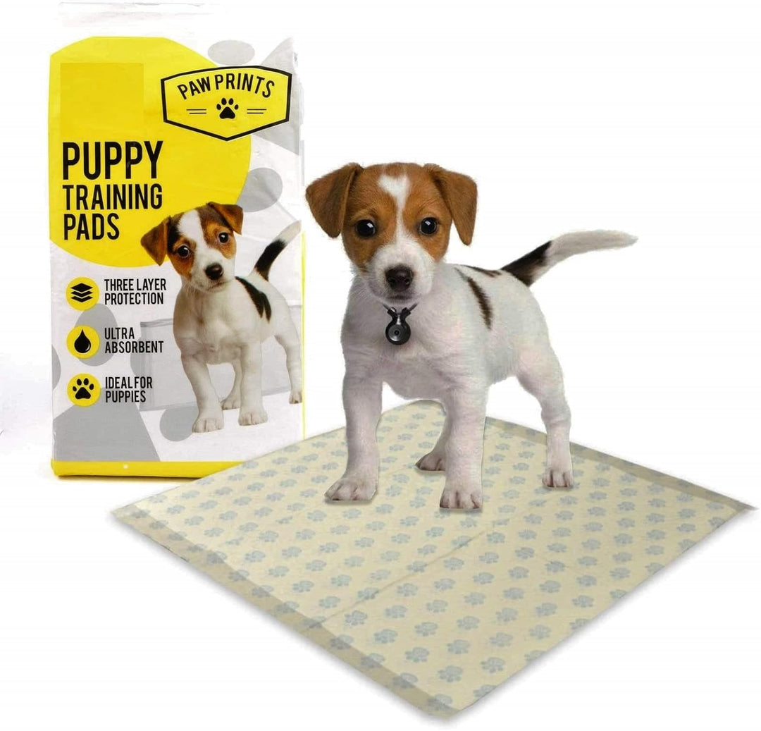 Paw Prints 100 x grosse absorbierende Trainingsunterlagen für Hunde und Welpen, transparent