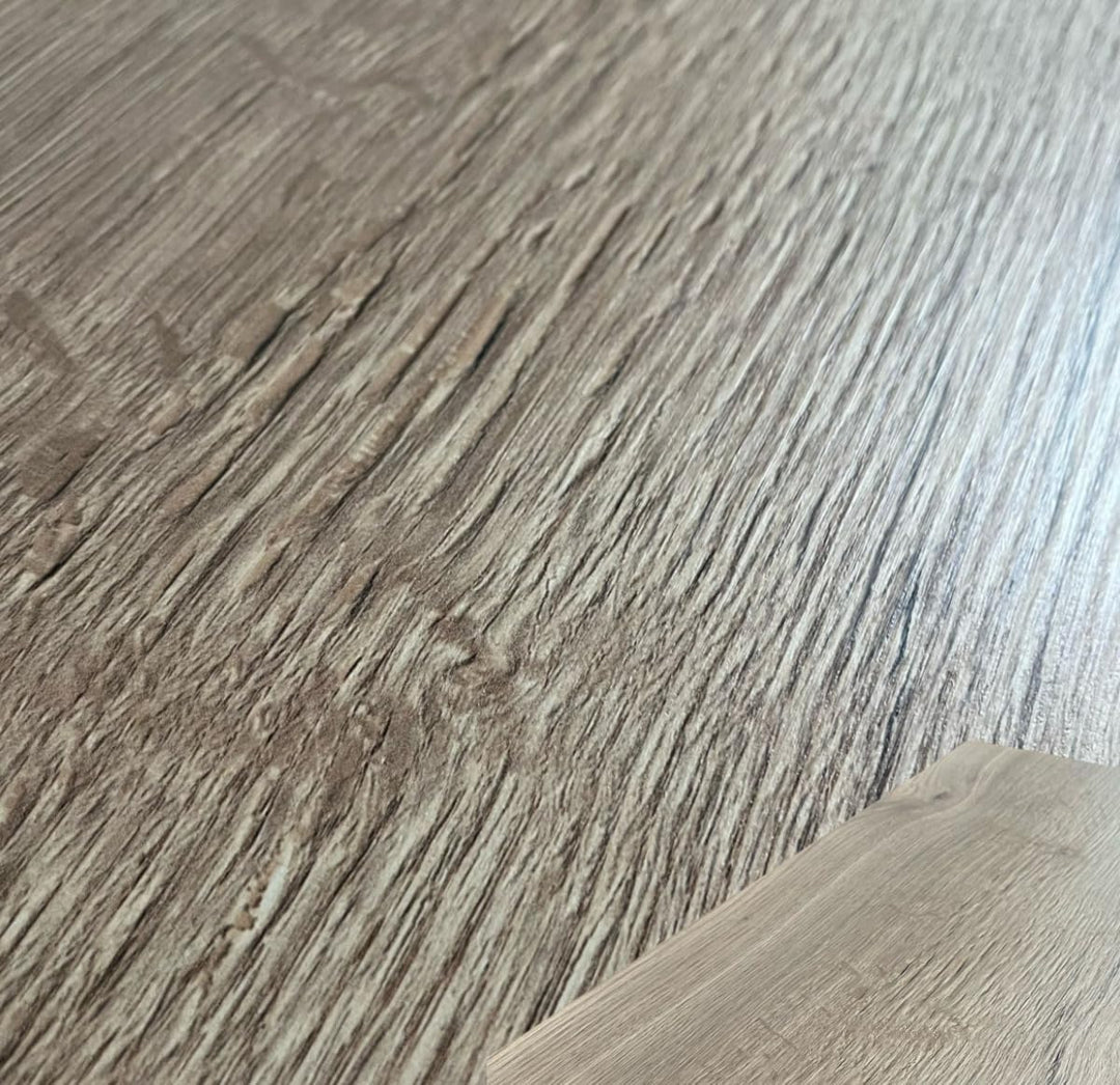 2 Stück Regalboden Einlegeboden WILD-EICHE 567 x 290 mm (L 56,7 cm x B 29,0 cm) Fachboden für 60 cm