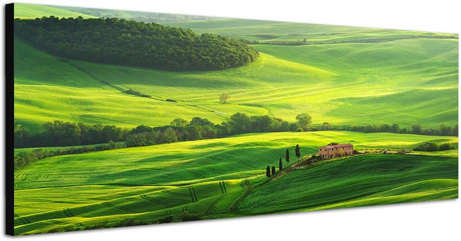 Paul Sinus Art Panoramabild auf Leinwand und Keilrahmen 120x40cm Toskana Berge Hügel Wiesen Sonnenli