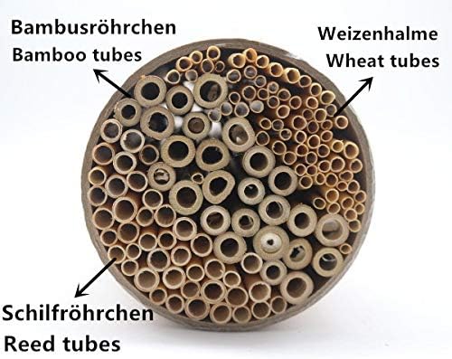 Super Idee 200 Stück 10cm Länge Bambusröhrchen Füllmaterial Insektenhotel Inhalt im Winter Wildbiene