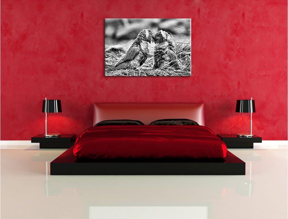 Pixxprint Kämpfende Allfarblori / 100x70cm Leinwandbild bespannt auf Holzrahmen/Wandbild Kunstdruck