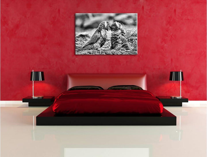 Pixxprint Kämpfende Allfarblori / 100x70cm Leinwandbild bespannt auf Holzrahmen/Wandbild Kunstdruck