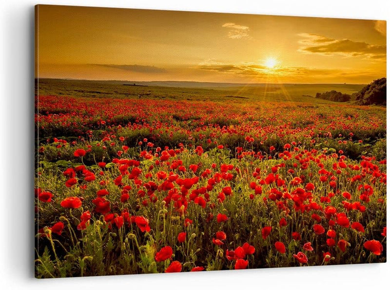 Bilder auf Leinwand 100x70cm Leinwandbild mit Rahmen Mohn Blume Wiese Gross Wanddeko Bild Schlafzimm