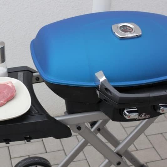 Grillrost.com Das Original Edelstahl INOX Grillroste für Napoleon Travel Q | spülmaschinenfest - Set