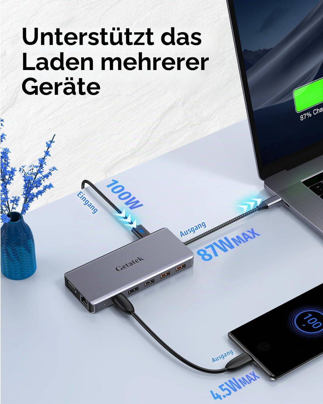 12-in-1 Docking Station with 4K HDMI,USB A 3.0 Port and USB C 5Gbps Data Port,VGA,100W PD Charging,