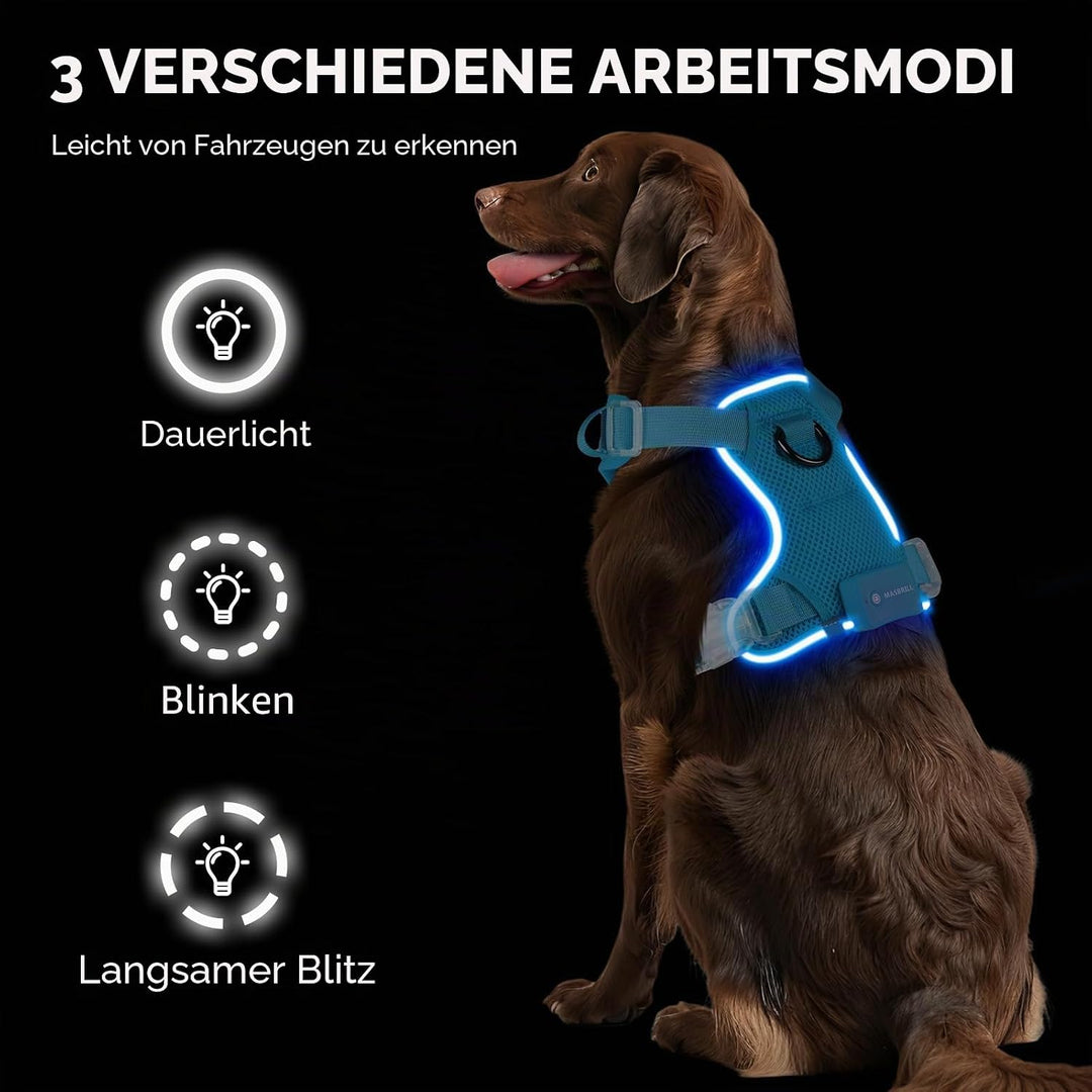 MASBRILL Hundegeschirr Leuchtend, LED Hundegeschirr Aufladbar &amp; Einstellbar für Welpen Kleiner Mittl