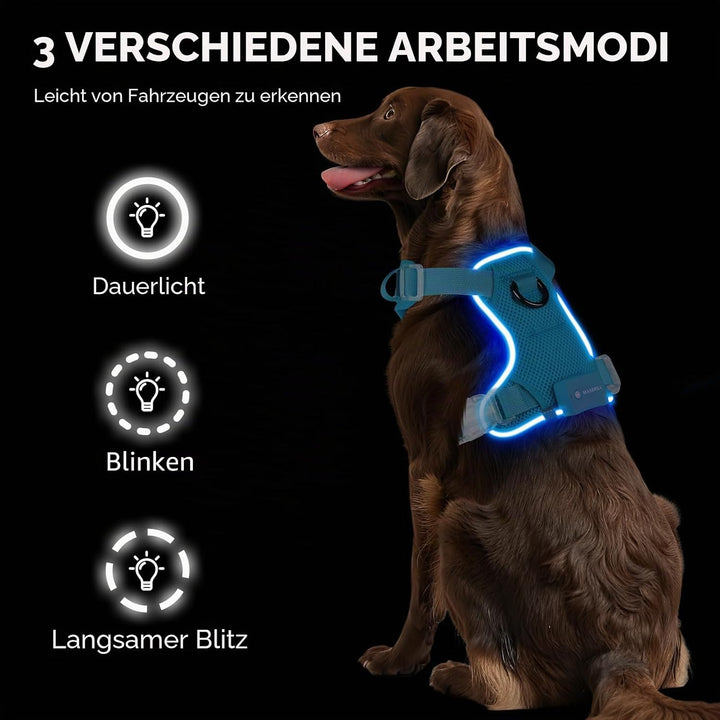 MASBRILL Hundegeschirr Leuchtend, LED Hundegeschirr Aufladbar &amp; Einstellbar für Welpen Kleiner Mittl