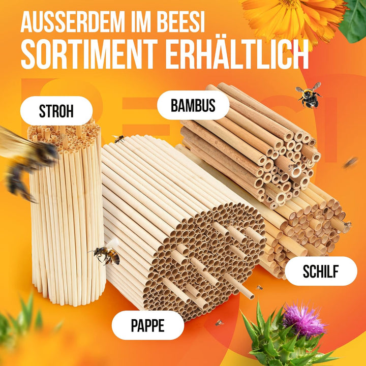 200x BEESI Nisthülsen Bambus für Bienenhotel I 14 cm Länge I Bambusrohr für Insektenhotel I Füllmate